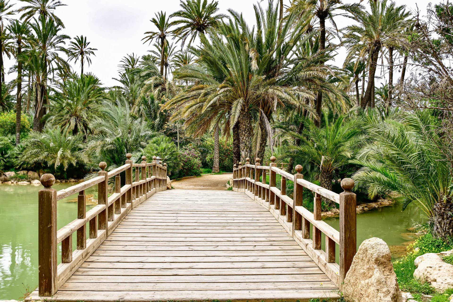 Elche : Palmeraie (UNESCO) & Misteri d'Elx