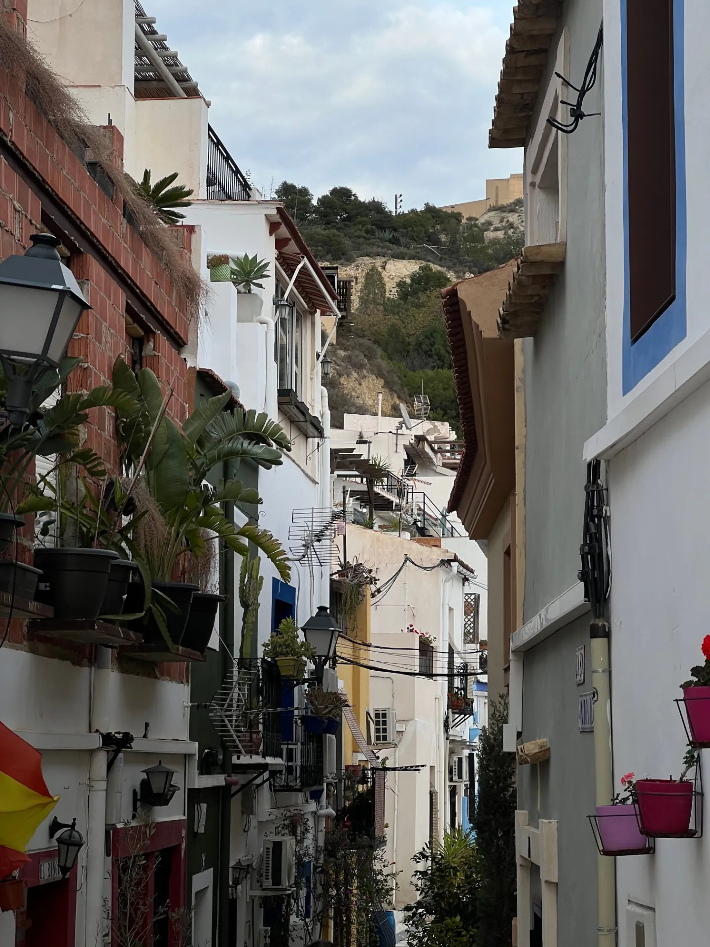 Visite guidée de la vieille ville & Santa Cruz