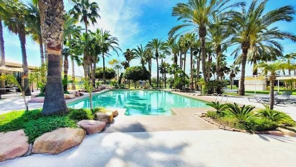 Piscine et jardins de l Hotel Alicante Golf