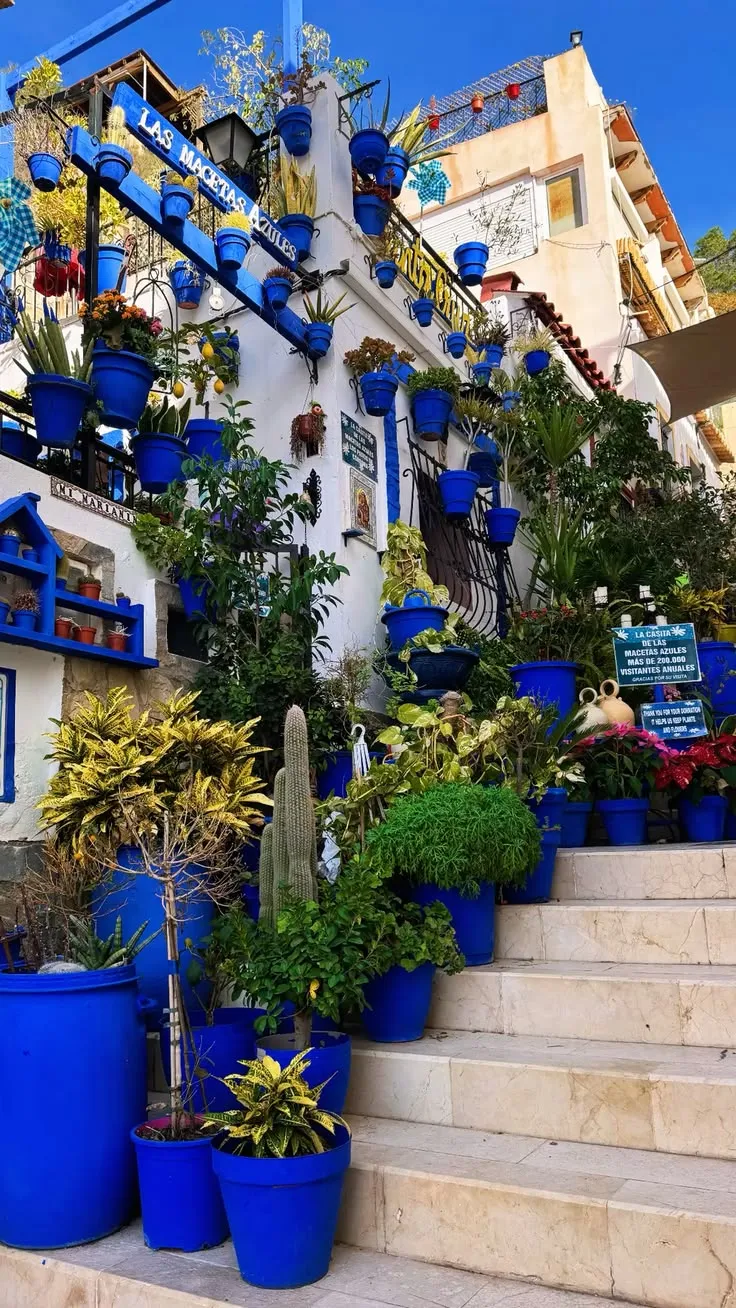 Ruelle fleurie du quartier de Santa Cruz à Alicante
