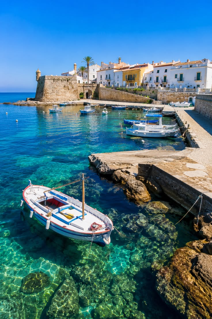 Barques traditionnelles sur une eau cristalline, île de Tabarca